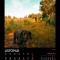 30. Kalendarz wieloplanszowy „35-lecie Gminy Gierałtowice”