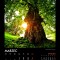 30. Kalendarz wieloplanszowy „35-lecie Gminy Gierałtowice”
